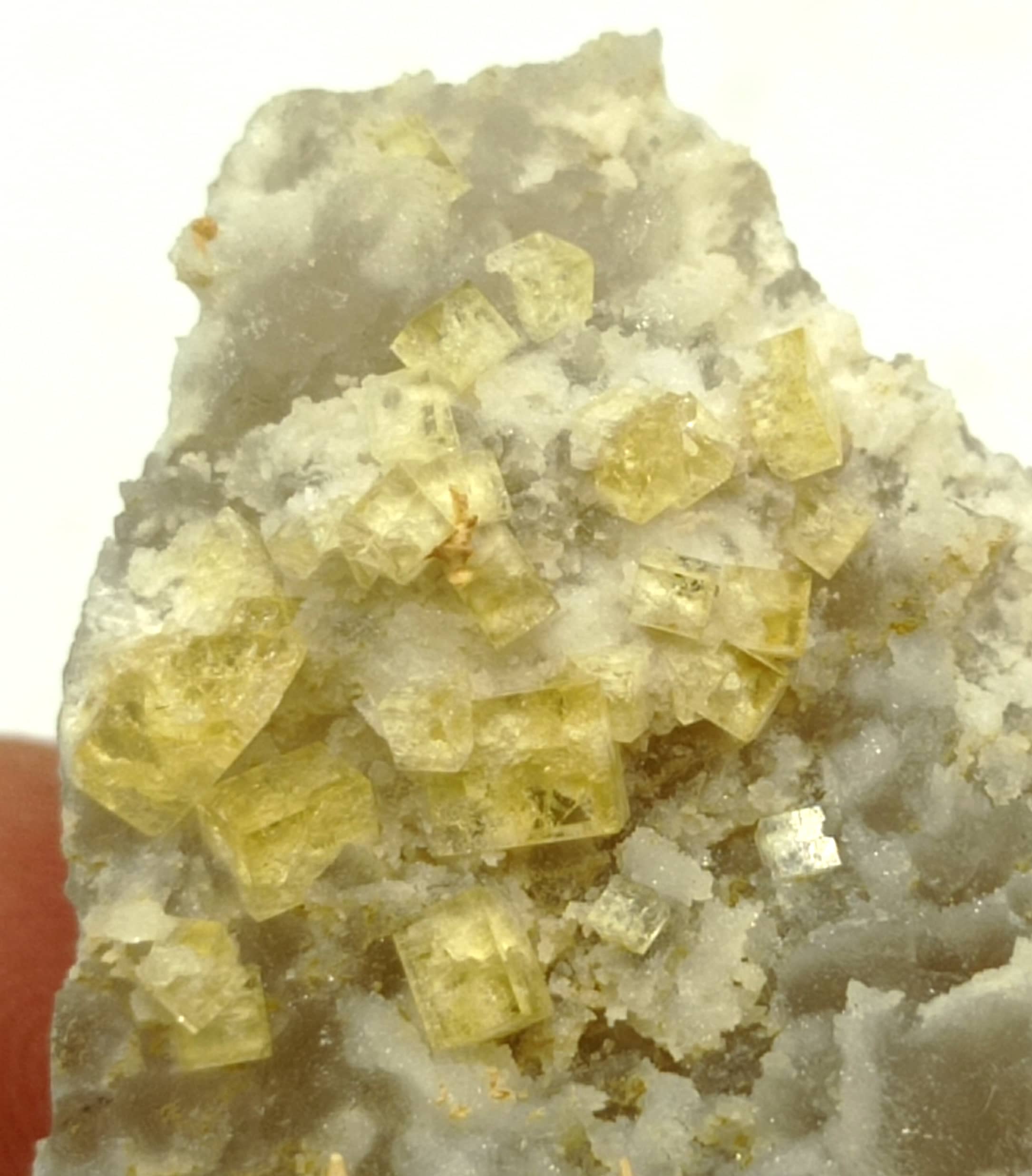 Fluorine (Fluorite) sur Quartz, Les Farges, Ussel, Corrèze.