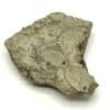 Pyrrothine (Pyrrothite), travaux du tunnel du Lötschberg, Suisse.