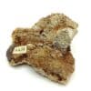 Aragonite et Quartz, Graubünden, Suisse.