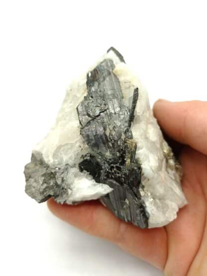 Wolframite, Mica et quartz, La Frégère, Montredon-Labessonnié, Tarn.