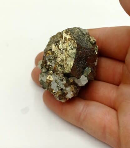 Pyrite dodécaédrique, Le Burg (Burc), Tarn.