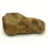 Agate (Calcédoine), Désert de Lybie, Lybie.