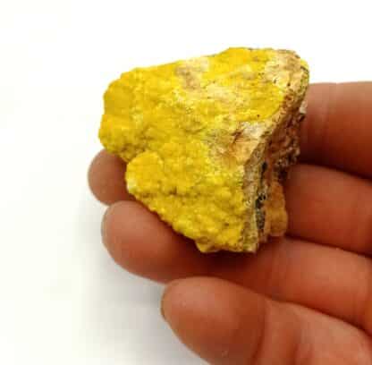 Uranotile, Mine de Margnac, Ambazac, Haute-Vienne, Limousin.