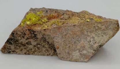 Autunite, Les Oudots,Marly-sous-Issy, Saône-et-Loire, Morvan