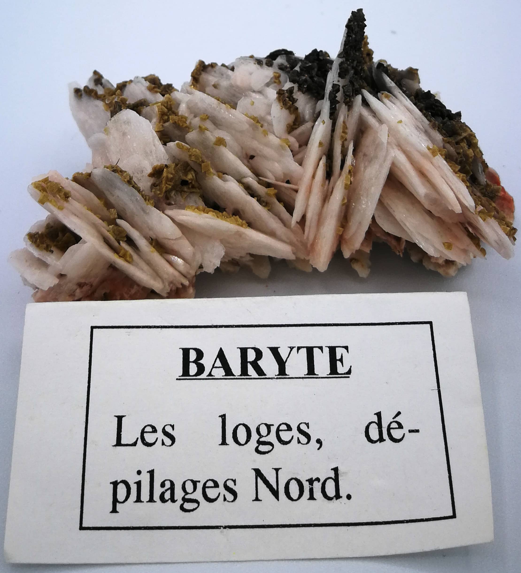 Baryte, ankerite, Voltennes, Filon des Loges , Saône-et-Loire, Morvan,