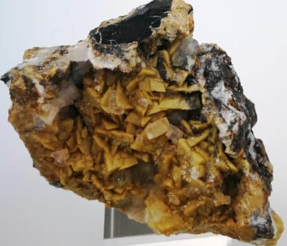 Fluorite, siderite, carrière du Rivet, Peyrebrune, Tarn