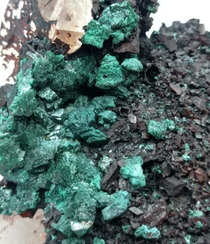 Cristaux de Malachite sur Quartz, Taroudant, Maroc.