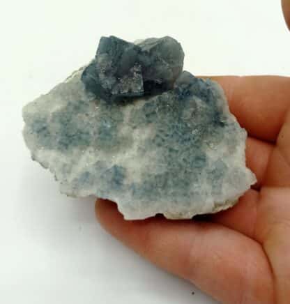 Fluorite (Fluorine) bleue, Filon Sud 3, Fontsante, Var.