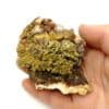 Pyromorphite sur Quartz, Les Farges, Ussel, Corrèze.