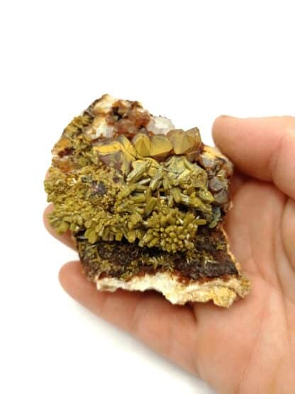 Pyromorphite sur Quartz, Les Farges, Ussel, Corrèze.