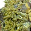 Pyromorphite sur Quartz, Les Farges, Ussel, Corrèze.