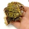 Pyromorphite sur Quartz, Les Farges, Ussel, Corrèze.