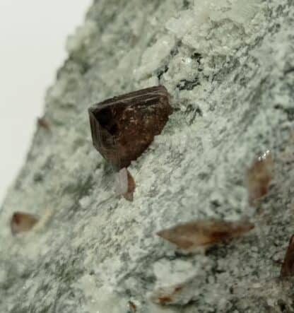 Axinite et Albite, Les Rochers d’Armentier, Oisans, Isère.