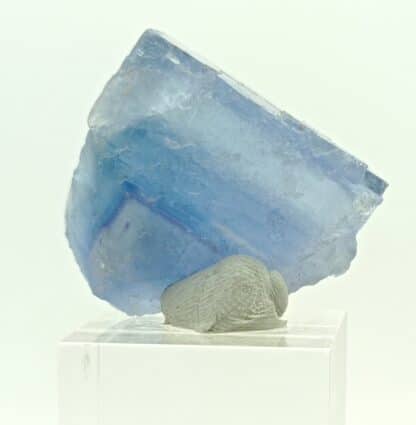 Fluorite (Fluorine) bleue, Mine de La Barre, Puy-de-Dôme, Auvergne.