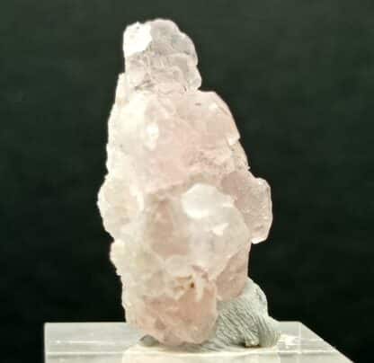 Fluorine rose, Grand Col Ferret, Aoste, Italie.