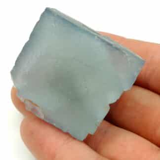 Fluorine (Fluorite) bleue, Margou, Tarn.