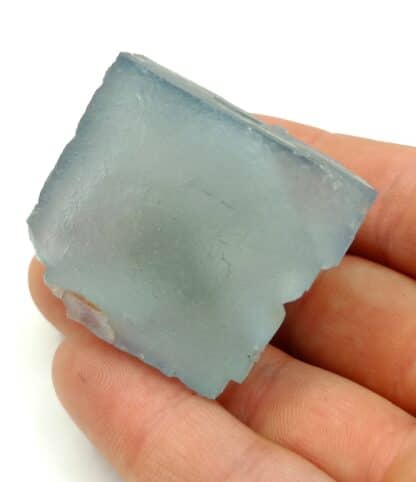 Fluorine (Fluorite) bleue, Margou, Tarn.