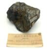 Covellin (Covellite), Maunsfeld (Mansfeld), Allemagne.