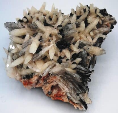 Baryte-galene-et-sphalerite, Voltennes.