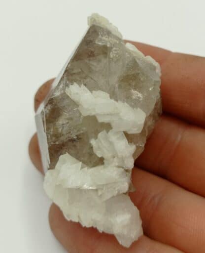 Adulaire sur Quartz fumé, Argentière, Massif du Mont Blanc, Haute-Savoie.