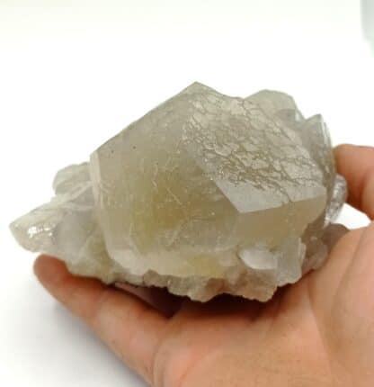 Calcite, Trèves, Gard.