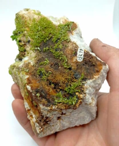 Pyromorphite, Mine des Farges, Ussel, Corrèze, Limousin.