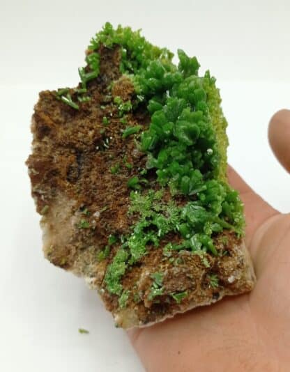 Pyromorphite, Mine des Farges, Ussel, Corrèze, Limousin.