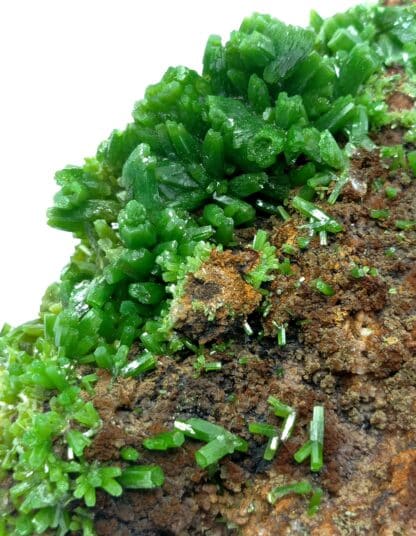 Pyromorphite, Mine des Farges, Ussel, Corrèze, Limousin.