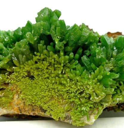 Pyromorphite, Mine des Farges, Ussel, Corrèze, Limousin.