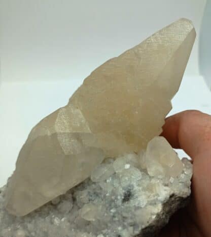 Calcite maclée, Trèves, Gard.