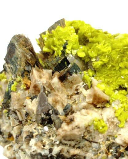 Autunite et Muscovite, Vénachat, Haute-Vienne, Limousin.