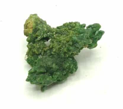 Pyromorphite verte, Mine des Farges, Ussel, Corrèze.