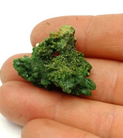 Pyromorphite verte, Mine des Farges, Ussel, Corrèze.