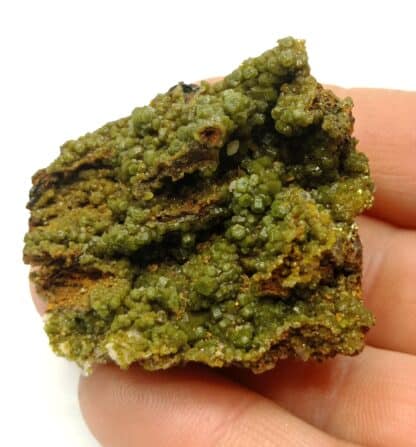 Cristaux de Pyromorphite, Mine des Farges, Ussel, Corrèze.