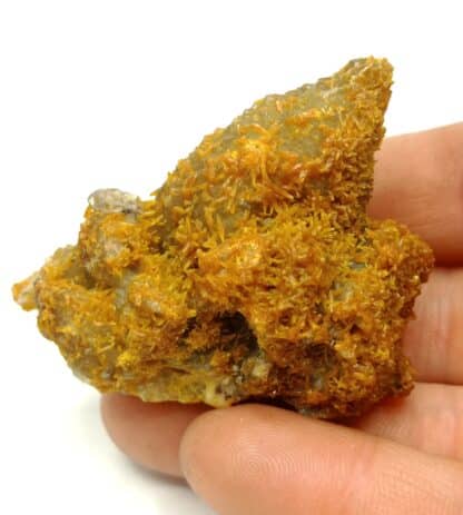 Pyromorphite sur Baryte, Mine des Farges, Ussel, Corrèze.