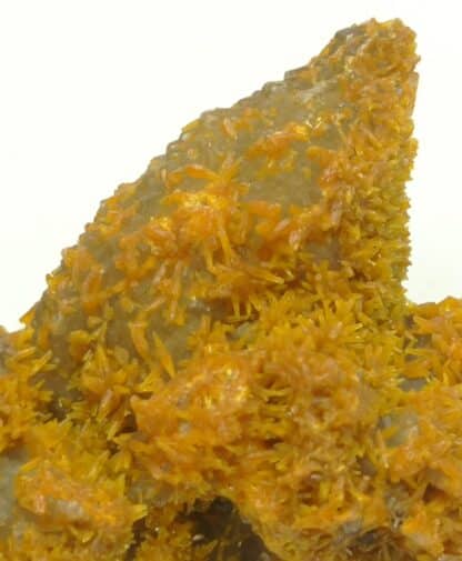 Pyromorphite sur Baryte, Mine des Farges, Ussel, Corrèze.