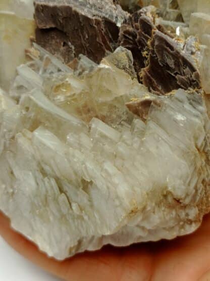 Baryte (Barytine), Mine des Porres, Var.