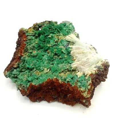 Pseudo de Bournonite en Malachite et Baryte, Uscla du Bosc, Hérault.