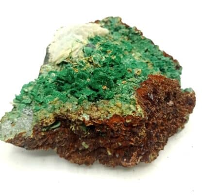 Pseudo de Bournonite en Malachite et Baryte, Uscla du Bosc, Hérault.