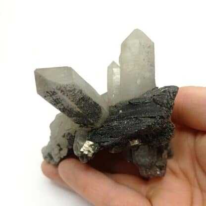 Wolframite, Pyrite et Quartz, Mine San Cristobal, Bolivie.