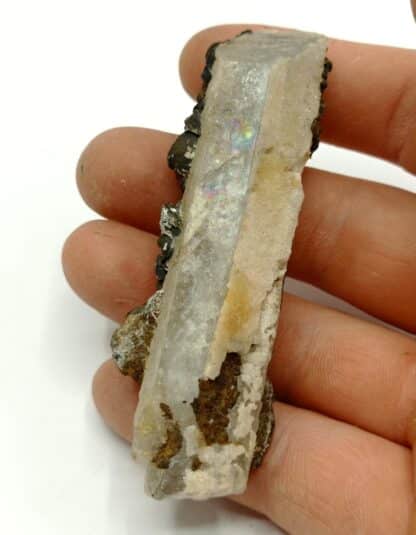 Sidérite sur Baryte, Taouz, Maroc.