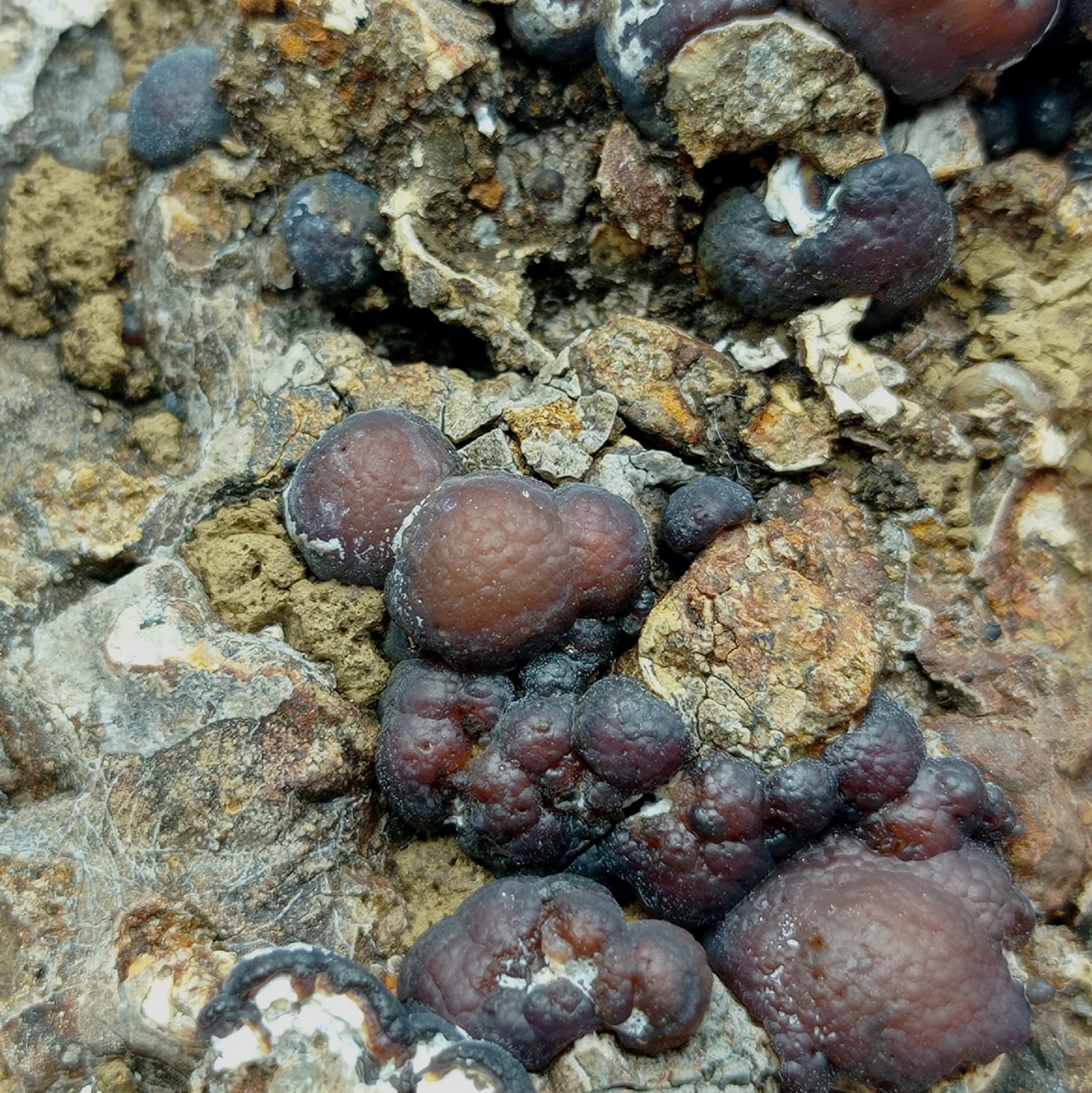 Lussatite (Calcédoine), Puy de la Bourrière, Puy-de-Dôme, Auvergne.