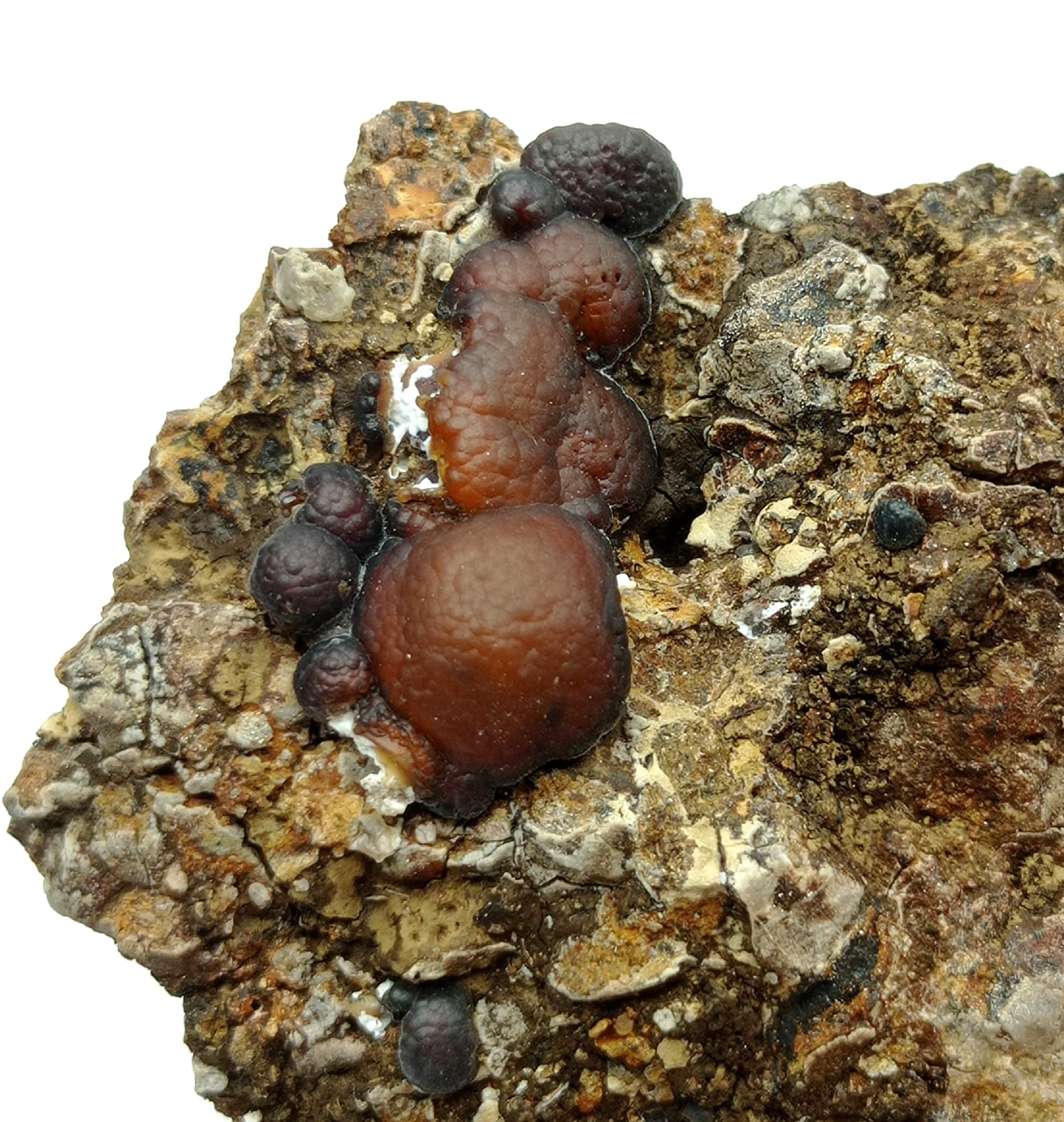 Lussatite (Calcédoine), Puy de la Bourrière, Puy-de-Dôme, Auvergne.