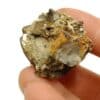 Wulfénite, Mine de Vallaury, Le Plan de la Tour, Var.