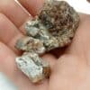Succincite (Ambre), Palmnicken, Mer Baltique, Prusse Orientale (Russie).