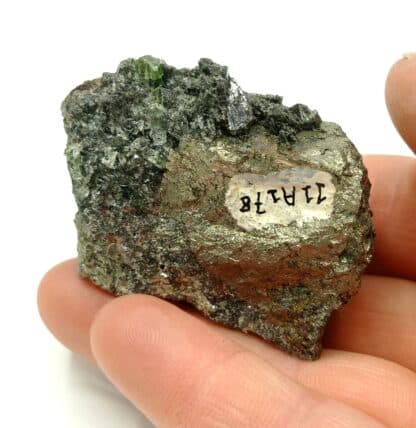 Ludlamite et Pyrite, mine de Salsigne, Mas Cabardès, Aude.