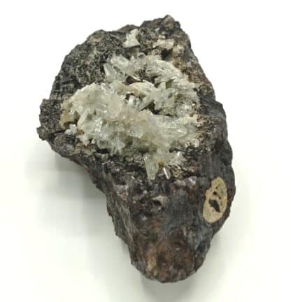 Baryte sur Sidérite, Mines de l’Altenberg, Sainte-Marie-aux-Mines, Alsace.