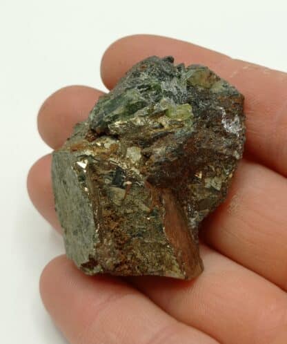 Ludlamite et Pyrite, mine de Salsigne, Mas Cabardès, Aude.