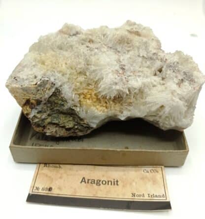 Aragonite, Irlande du Nord.