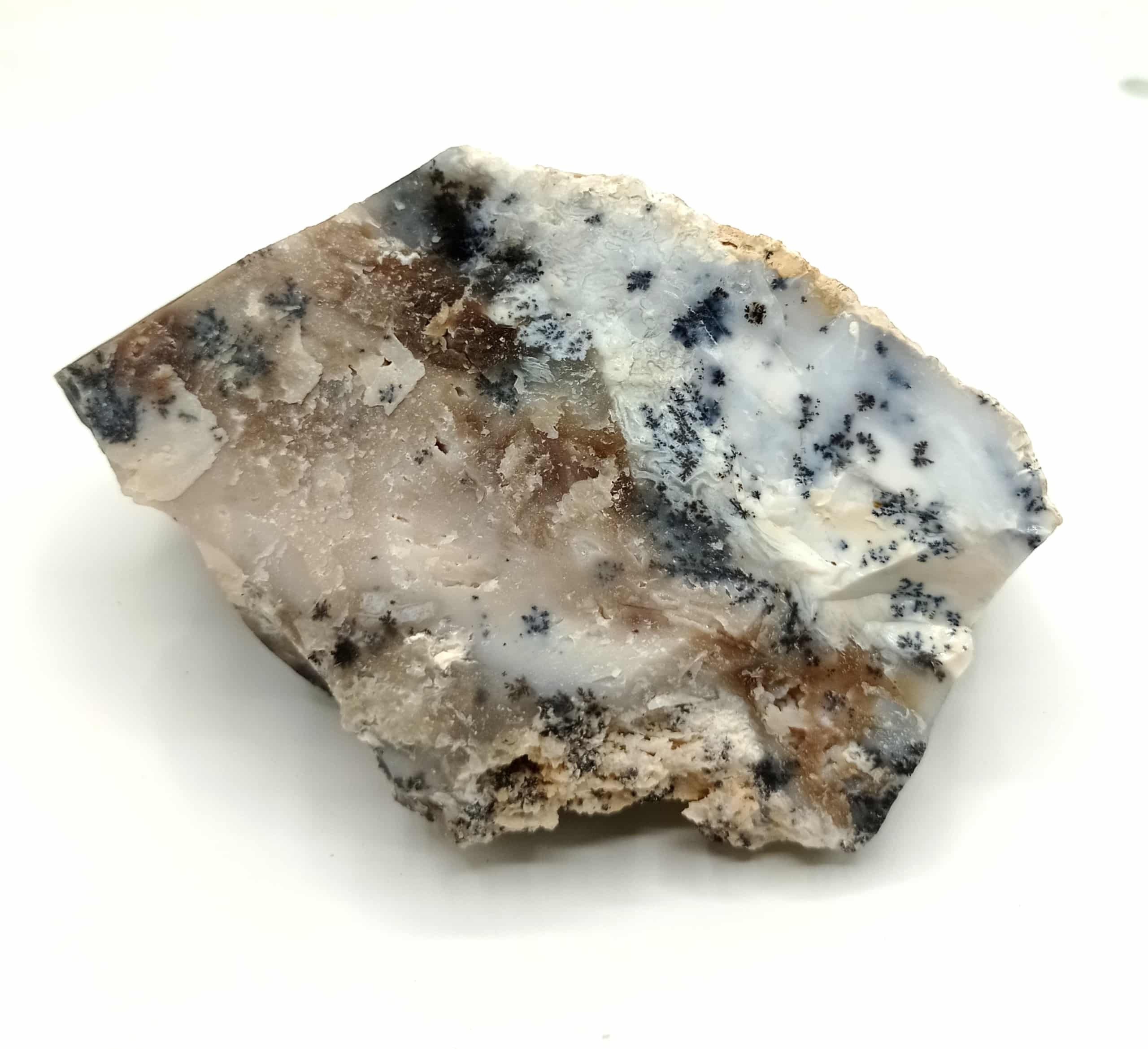 Moosachat (Agate mousse), Laramie, Wyoming, USA (États-Unis).